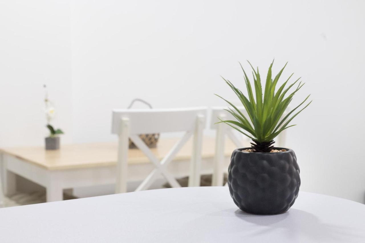 Moonkey - Apartamento Amaralba A Alicante Exteriér fotografie
