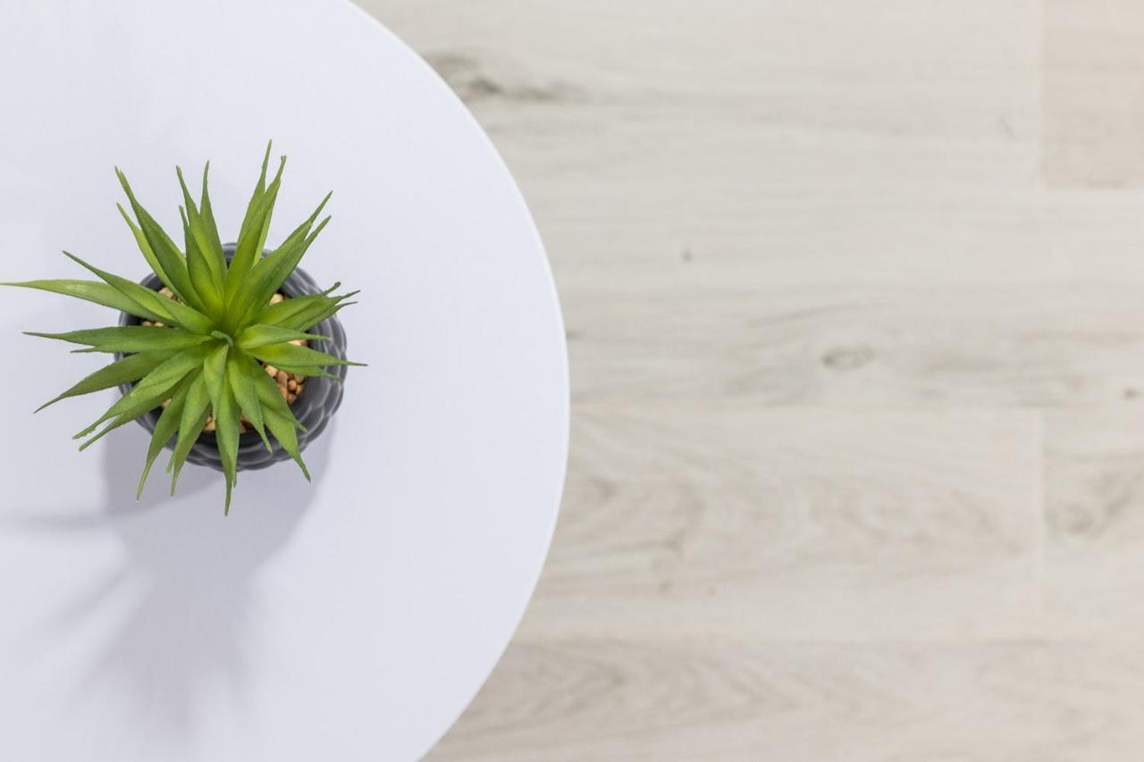 Moonkey - Apartamento Amaralba A Alicante Exteriér fotografie